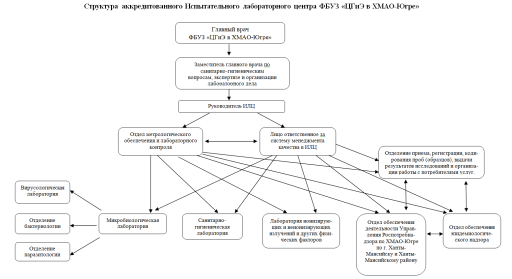 ИлцСтруктура2024.PNG